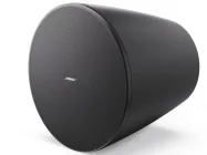 Bose DesignMax DM10P-SUB | Głośnik wiszący | Czarny